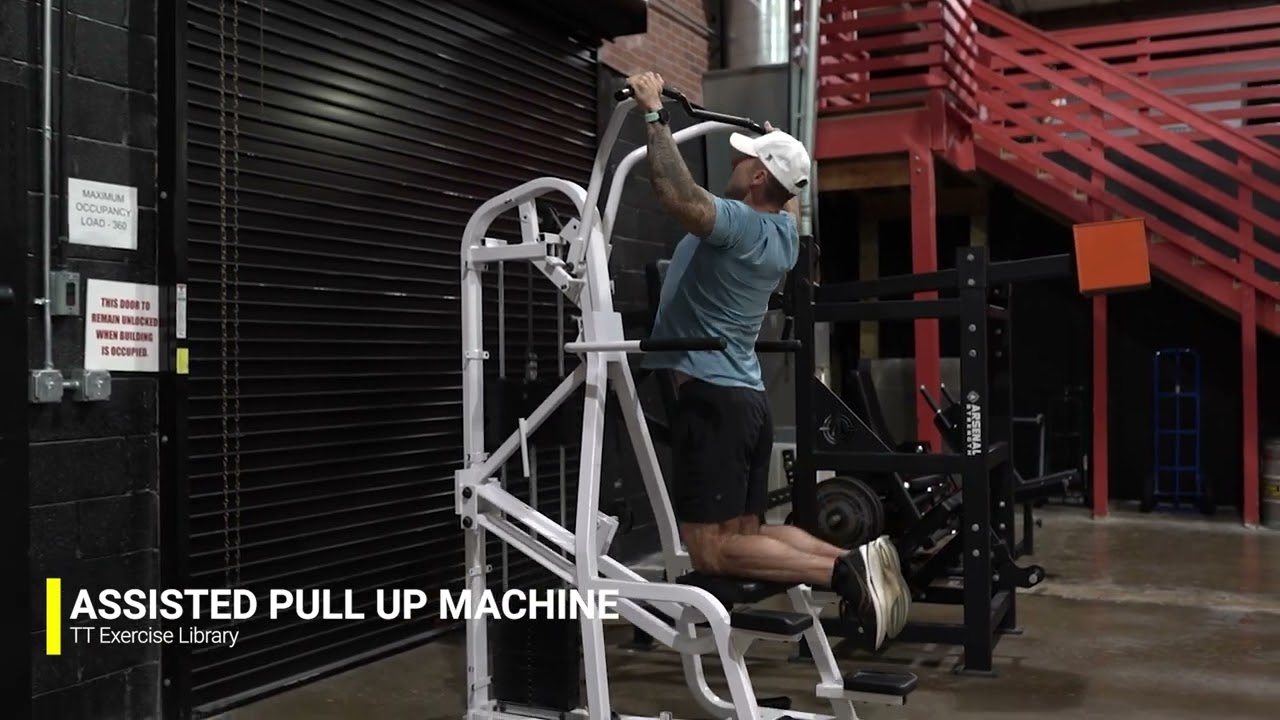 Assisted Pull Up Machine The True Transformation